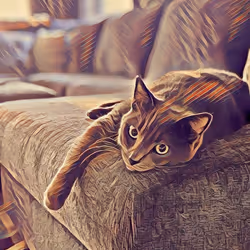 99858514059205097955200646963227416821733403331847944889851821935469585760258