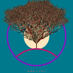 74168867016011539093366687608765447348507224284888477074887988567588504338433