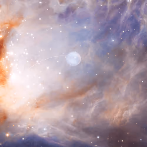 Item #104430706728558835235110209572567191605283500423331908824103217254101598339092 Media