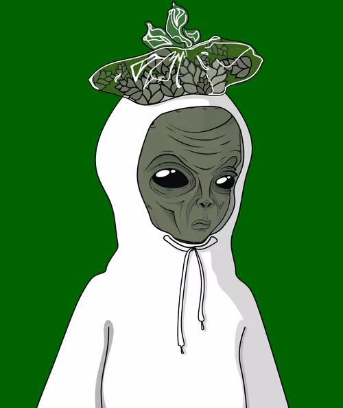 Item #5182743671614703316402528588389200392285698225753018288567512662328089772033 Media