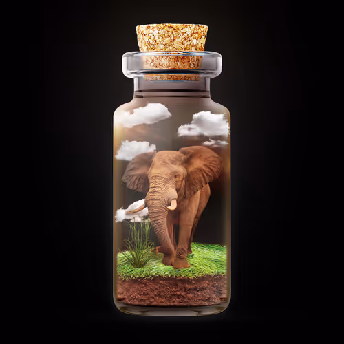 Item #77390327673070983569044505049641160815302190689257109500438882156407165026305 Media