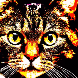 23538819986925566434507765811444276093104658907602947149672917162388021575681