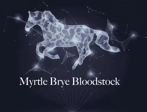 Untitled Collection #75060902