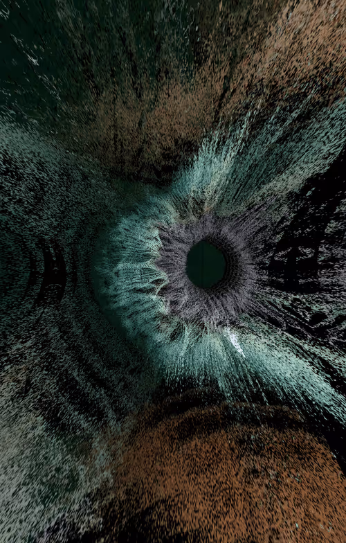 Item #47993365230904546224908061961898398429308184507692648287352000327817021620225 Media