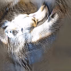 91840330991627938293419162252051681700498194721382154100651225905191230373889
