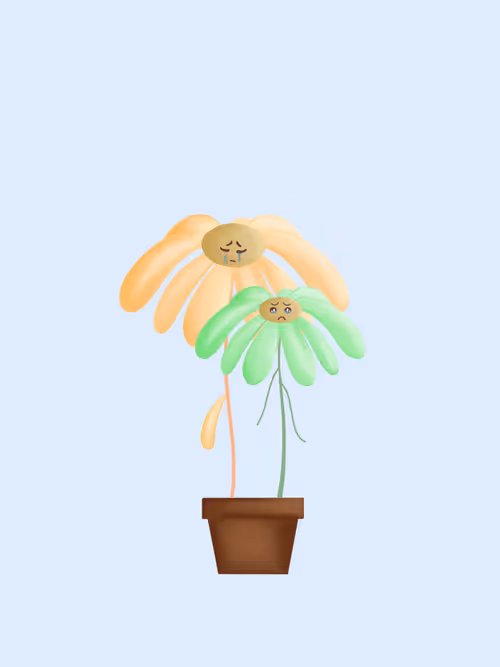 Item #1884312603650306621990671001796890660959353708326931649108702954346881482753 Media