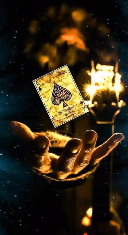 Item #33946511416351711492011712279158305989754540954922168247889704969739450712164 Media