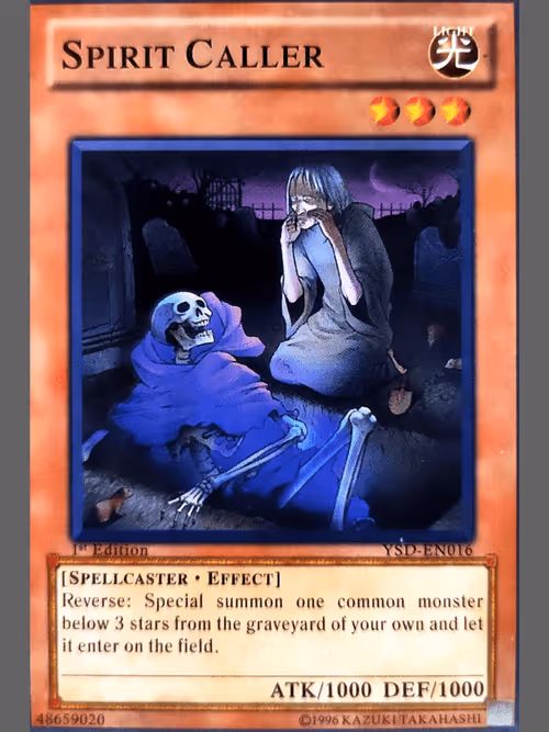 Item #103049729199798580300364638283970654041300133889932108508077334803945306980353 Media