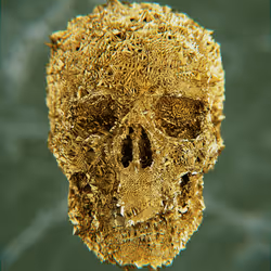 47176454807076825679431215681833454926344141321117842083750283348950820847617