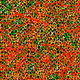 80721917397133167864956561577589095880431820844136916694956103181259446943745