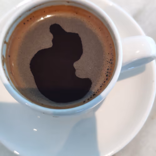 DUCK IN A CUP OF COFFE