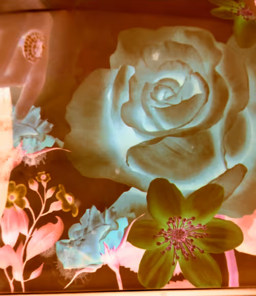 Item #88361313623367821169385109995691991430035234120960623439170725879500284887140 Media