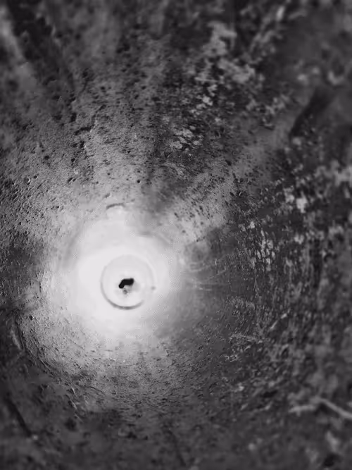 Item #29993218711825771063896008845796474997175293072905404975681232509766509527041 Media