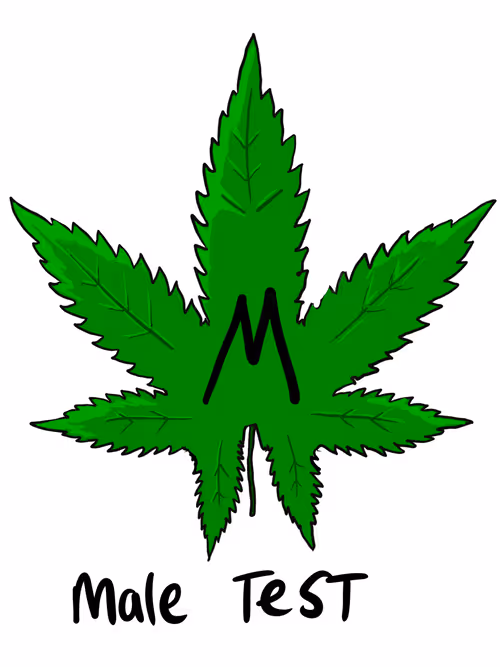 Item #3629226787036885345407013839473637357726433756934680638690710406200477876225 Media