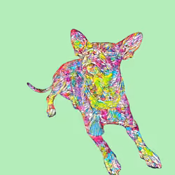 Maya #150