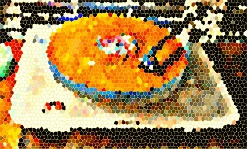 Untitled Collection #31815836