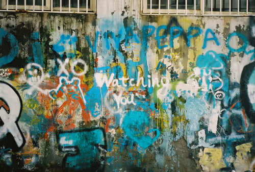 Untitled Collection #89663707