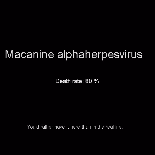 Item #81808085032476359797455255547863298923837726005960725874573045500239589409768 Media