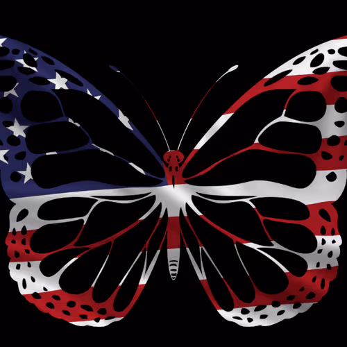 Item #63573235815106314393581959573917387188493038180489259694476917034243611164673 Media