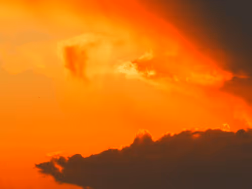 Item #55297223282317197917185791022658401724226762533250968792427961308034652700673 Media