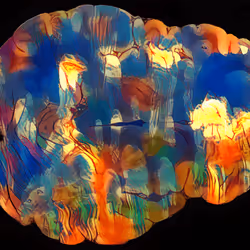 29877578668728852178902598419785793077778618348046200683544678315149548847114