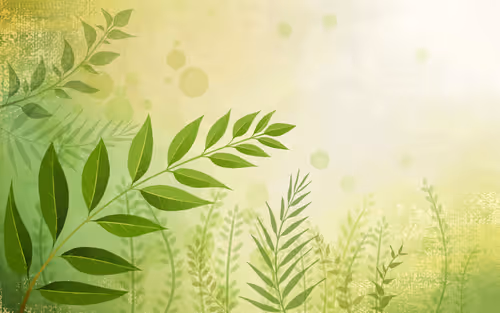 Item #15873686498819518447101859256786885802653839680646720121674313177903356969960 Media