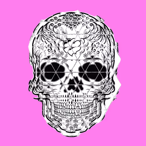 Collection Of Skull