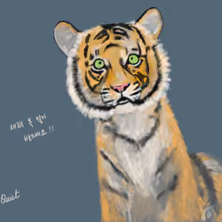 baby tiger with greetings in Korean