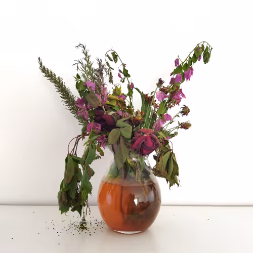 Item #87003207589931118822218281437448867168500866218263883081320957840723428769793 Media