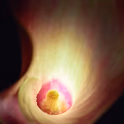 Flower #3