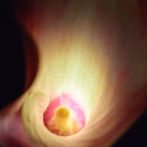 Flower #3