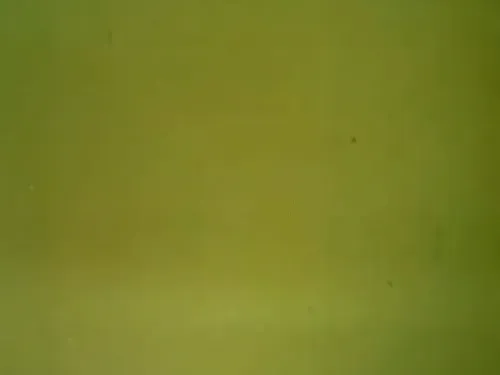 Item #92017593772922331209984593366420909192569618289350730277413274069802514644993 Media