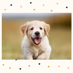 108065665434435766760522700651324844344204555372000129092130959704428745064458