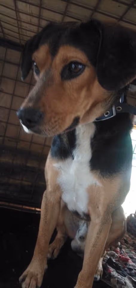 Item #23439807421783349604606688817165201350165750151979961366033252247993944375297 Media