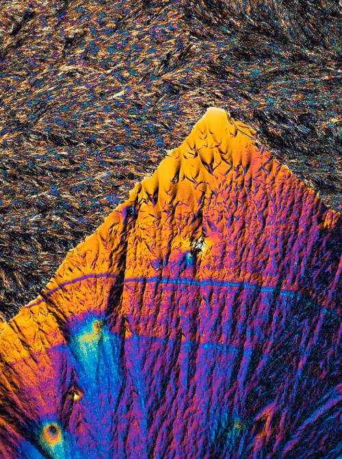 Item #10963747158726230323476698717181339106024031103904100561308612029274237435905 Media