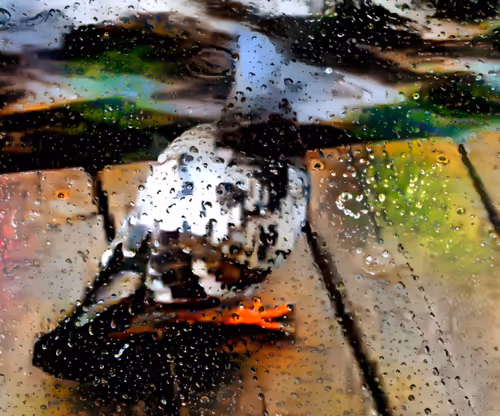 Item #111931536338815540459995626218953509390748120746063008762683298055883176542209 Media