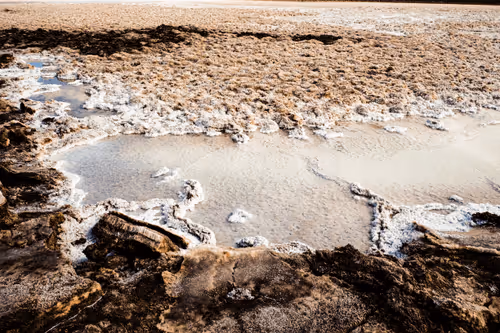 Item #100362435942799859759029508366098881533917623806913127339046298561302969188353 Media