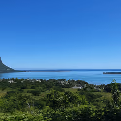 Island #8
