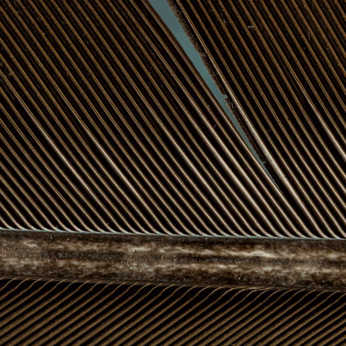 Item #73372860986899267984203259478181178423883212143410366847917696899831514005514 Media