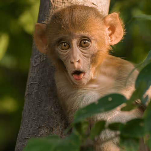 61684684013370051227163866082320023750896296023852719411798081109429753741337