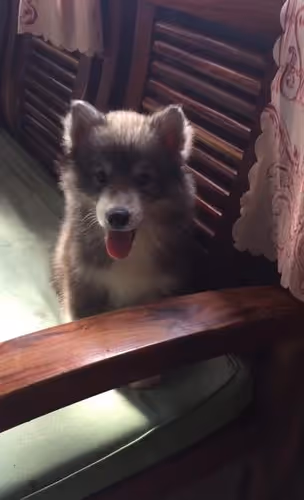 58835359871793248116647993945907080245738143909356775405551556798431711199233