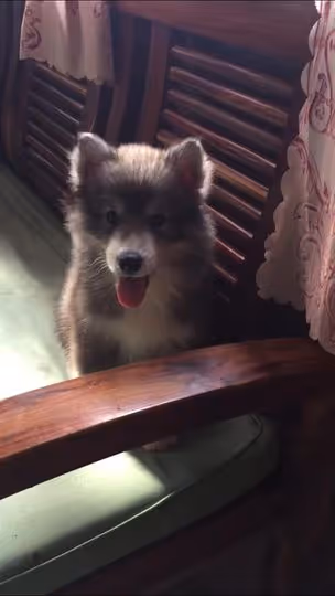 Item #58835359871793248116647993945907080245738143909356775405551556798431711199233 Media