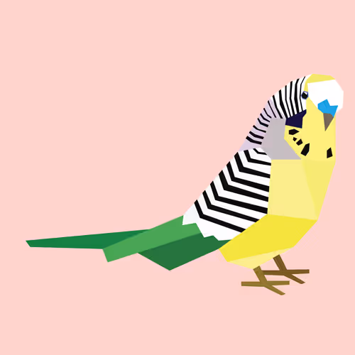 Item #33981103560574202352093728641567895083267241091080727147052843478421124153345 Media