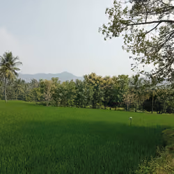 Save Agriculture & Nature