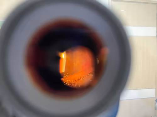 the model of robo-eye
