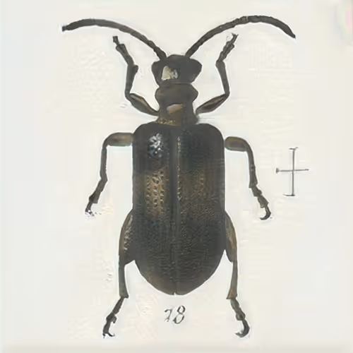 Item #58241160855422744817468407088196322100109565521561100950236904767433901867009 Media