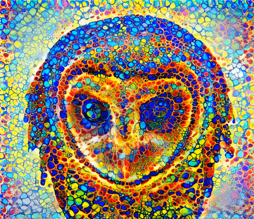 Item #108786381566137461279473531880826935659335452726224417028117049380683802214401 Media