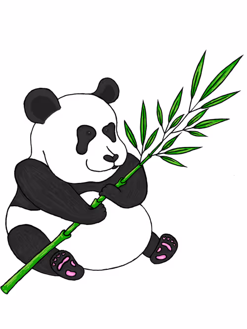 Item #87383594680389417138222859505916844050013370590852164612253026146767010267144 Media