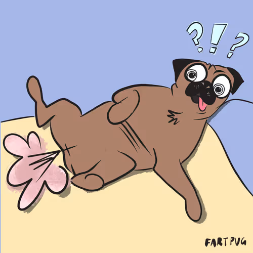 Item #85362430766667722675884424288974458859246388639412681689314961264757027373057 Media