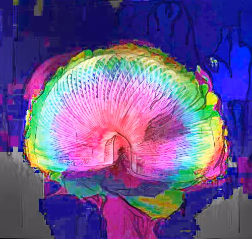 66323263018111989003093332246037877749600367798036049985221264074092671139850